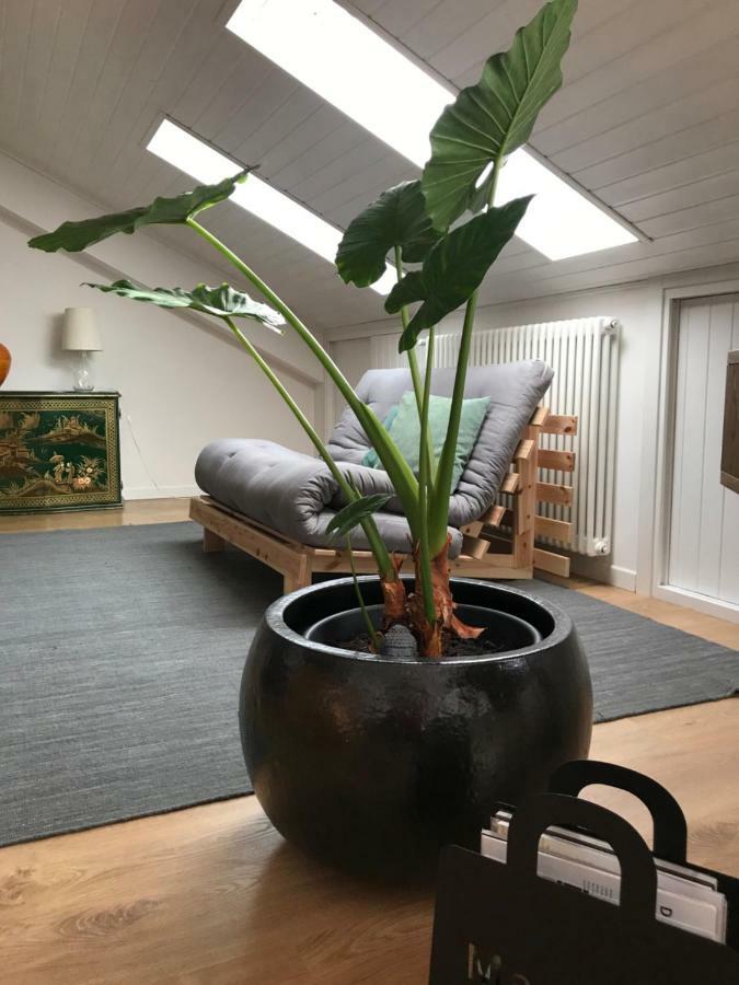 Little Lio Apartment Cavallino-Treporti Ngoại thất bức ảnh
